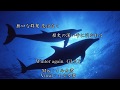 Winter again / GLAY  (歌ってみた) ver.イルカ君