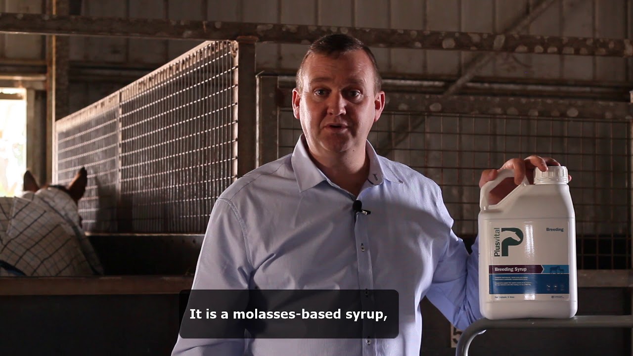 Plusvital Breeding Syrup - Multivitamin for broodmares & foals