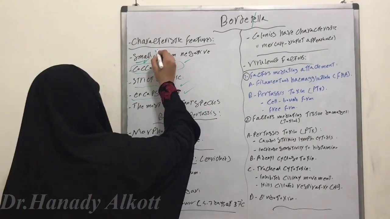 🗣👀🤭 السعال الديكي الجزء الاول(Bordetella.pertussis part 1)😳🥺😥