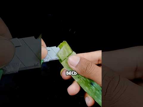 Уж если это вас не удивит, то я не знаю🤷♂️ #дача #сад #shorts