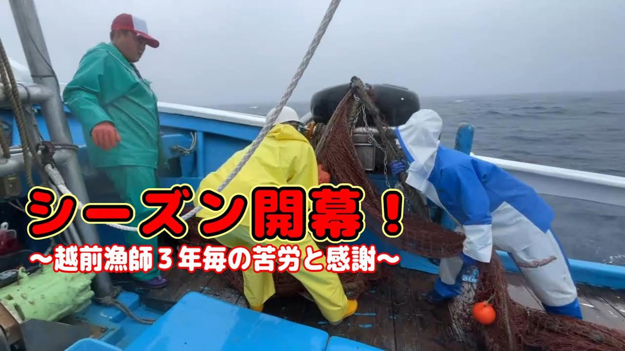 漁 下が大: さんずいに魚の下が大 , 「漁」という漢字の意味・成り立ち・読み方・画数・部首を学習 – TMMEXX