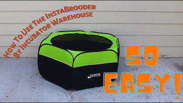 How to use the InstaBrooder