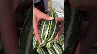 Fresh Fruit Nice Farm P041 #Shorts #Viral