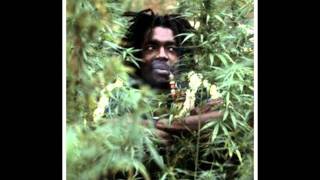 Video thumbnail of "Peter Tosh - Fat Dog"