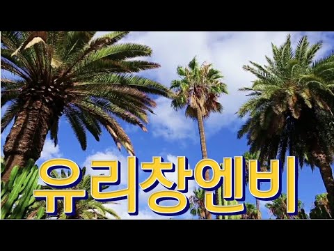 #유리창엔비#햇빛촌#