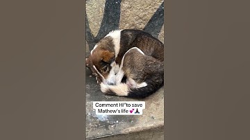 please consider donating via our PayPal link in the bio