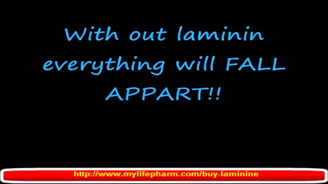 ламинин англ - YouTube