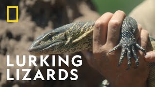 The Largest Lizard In Africa |  Primal Survivor : Extreme African Safari | National Geographic UK
