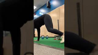 Bear Crawl Twist