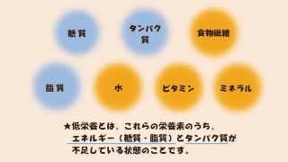 食生活を考えよう①〜十分に栄養が取れていますか？〜