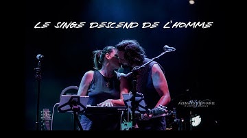 SHAMROCK - Le Singe Descend de l
