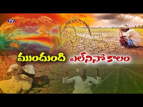 ఎల్ నినో ప్రమాదం..El Nino Effect On AP Agriculture | TV5 News - TV5NEWS