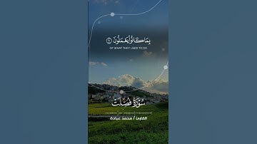 حتى إذا ما جاءوها شهد عليهم سمعهم وأبصارهم II سورة فصلت 🎙️ بصوت القارئ محمد عبادة