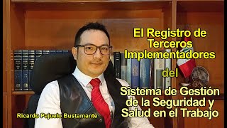 Registro de terceros implementadores del Sistema de Gestión de SST, por Ricardo Pajuelo Bustamante