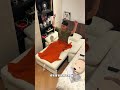 狭い部屋を広く見せるコツ！このソファベッド導入したらお部屋の快適度が爆上がりした件🛋️