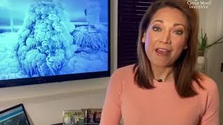 How #WeThriveInside With Meteorologist Ginger Zee