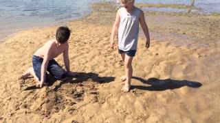 Mouth of the Barwon River September 2015