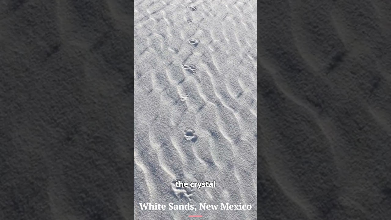 White Sands: A Dream Carved by Geology #Shorts