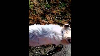 VID 20160107 1111241