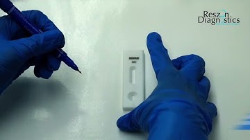 Reszon Dengue NS1 Ag Rapid Test: Instruction for Use