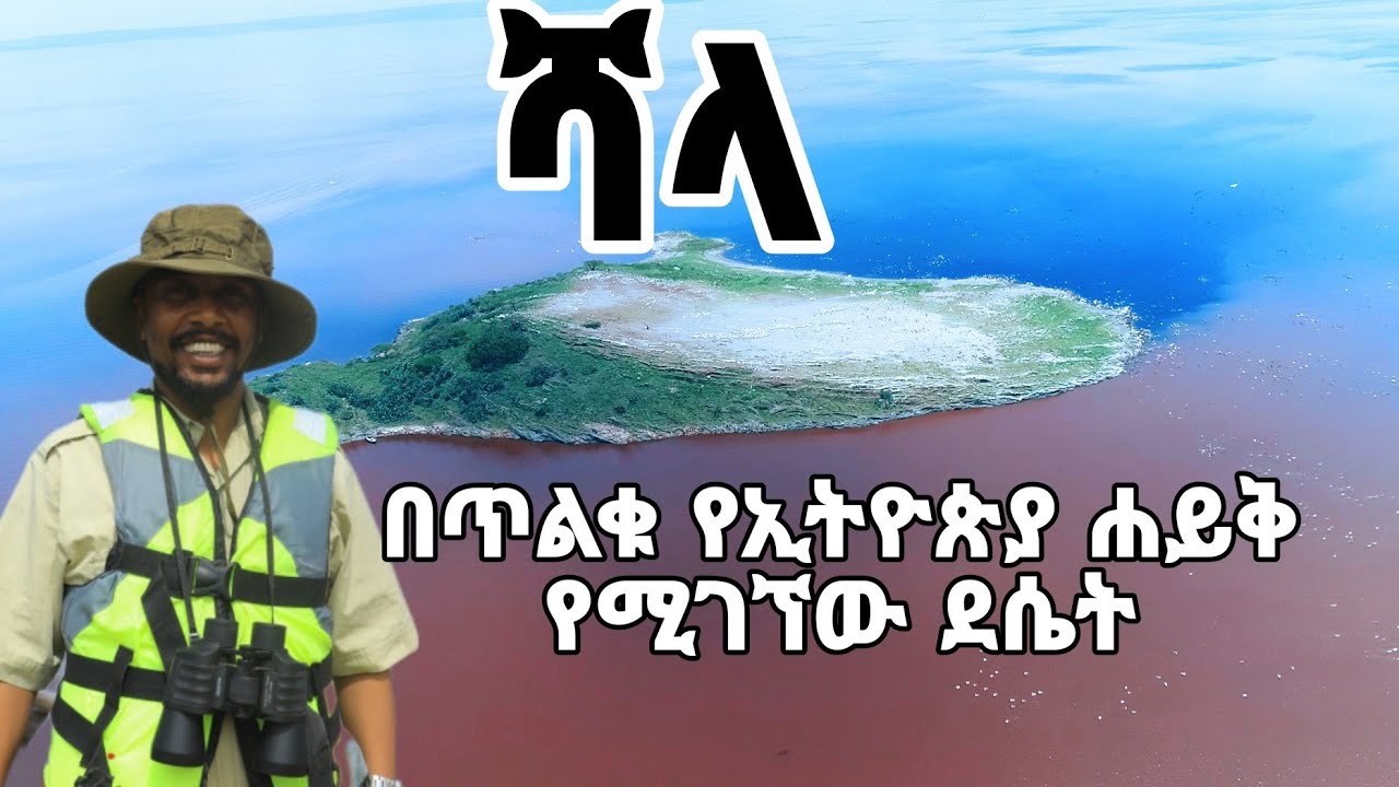 #ሻላ-በጥልቁ የኢትዮጵያ ሐይቅ የሚገኘው ደሴት #ጉዞ_ኢትዮጵያ #Guzoethiopia #Pelicans #ፔሊካን#RiftValleylakes #Shalla