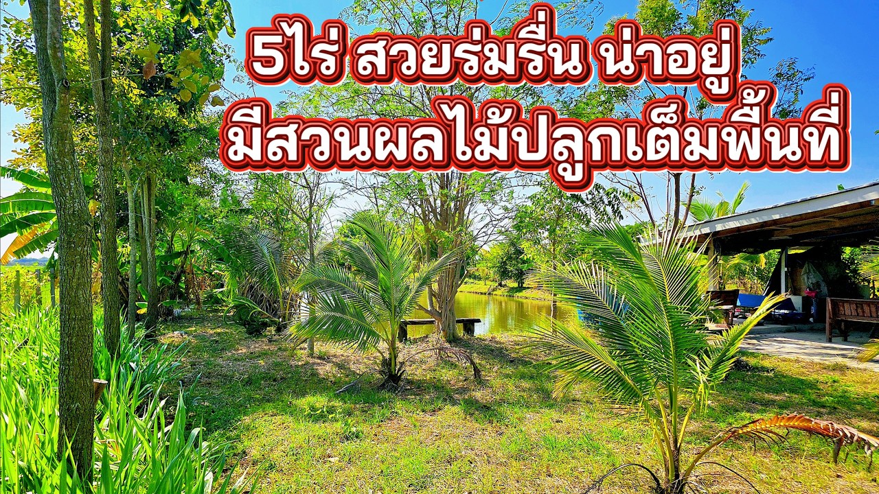 ที่ดินพร้อมสวนผลไม้ ปลูกเต็มพื้นที่ 5ไร่ บ้าน1หลัง ติดถนนดำ2ด้าน ตลิ่งชัน สุพรรณบุรี 2.6ล