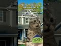 Rent adds up and pays Landlords mortgage buy or Refinance a home with me link in Bio let's Myth