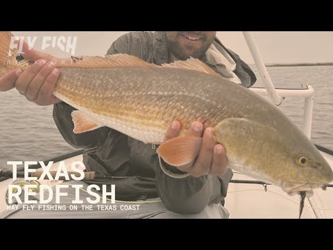 Texas Redfishing in May Fly Fish Rockport Weekly Recap