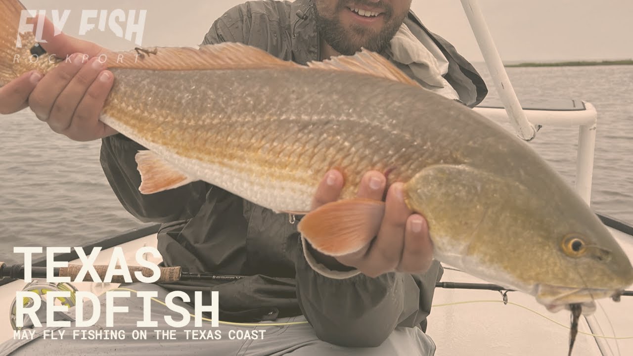 Texas Redfishing in May Fly Fish Rockport Weekly Recap YouTube