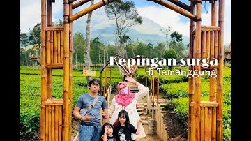 Kepingan surga di Lereng gunung sumbing sindoro! Kebun Teh Tambi! Wisata Temanggung wonosobo!