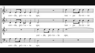 Insanae et vanae curae - Haydn chords