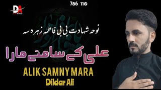 Noha Bi Bi Fatima S.a Ali Ke Samny Mara Dildar Ali