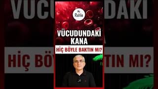 Vücudundaki Kana Hiç Böyle Baktın Mı? My Rahle