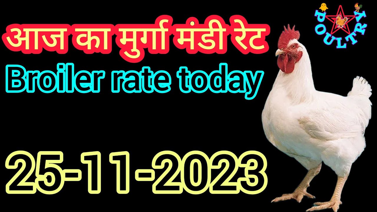 broiler lifting rate today | today broiler rate | aaj ka murga mandi rate 