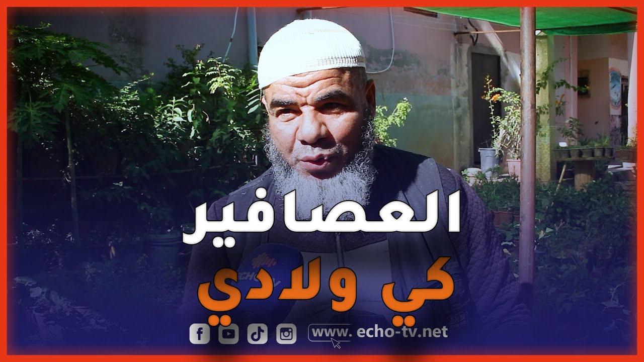 🔴شاهد : العم جعفر أقدم بائع العصافير و النباتات في مدينة حجوط