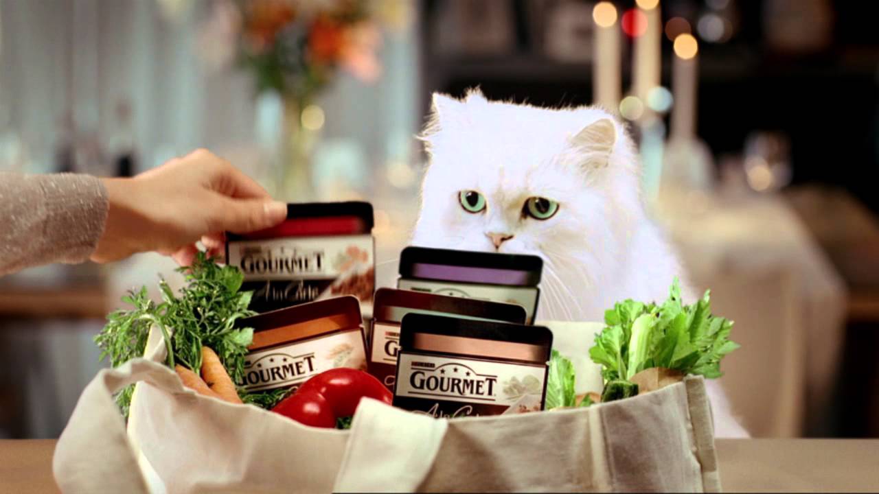gourmet a la carte cat food