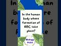 #biology #neetbiology #neet #rbc #shorts #biologyquiz