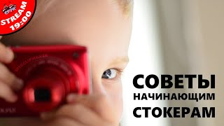 Советы начинающему стокеру ... Вечерний стрим 04.04.2023