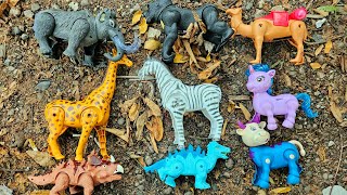 Wadidaw Finding Elephant King Kong Zebra Giraffe Cow Camel Triceratops