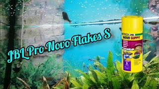 JBL Pro Novo Flakes S @meinjbl |AquaboxOfficial #aquarien #aquaristik #aquarium #fisch #meinjbl