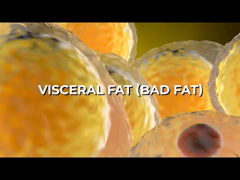The Importance of Visceral Fat How DEXA Scans Reveal Hidden Health Risks