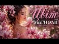 Цвіт магнолії 