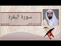 سورة البقرة الشيخ ناصر القطامي sourat al baqara