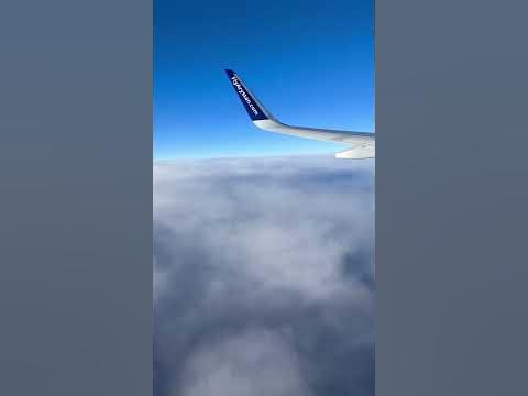 Флай арыстан - YouTube