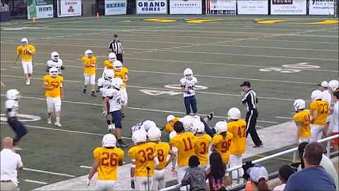 Reginald "Tre" Fulton III Football Highlights 2015...