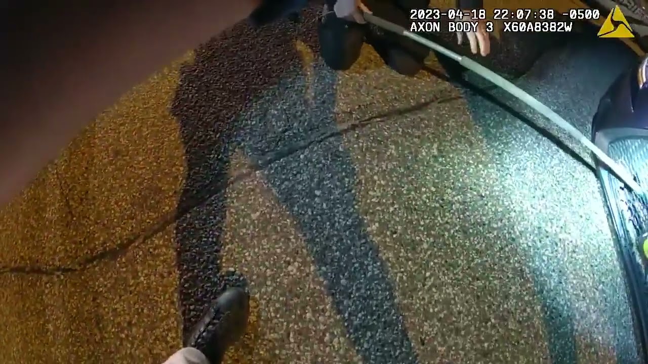 Bobcat found in grill of car in Portage County, Wisconsin