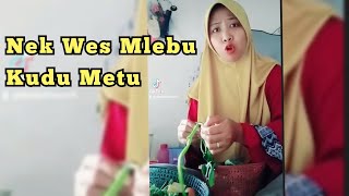 Nek Wes Mlebu Yo Kudu Metu | Dubbing Ceramah Kh.Anwar Zahid Terbaru Lucu Banget