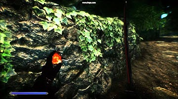 Skyrim Depth of field dof extreme graphics