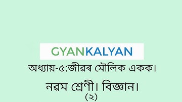 অধ্যায়-৫:জীৱৰ মৌলিক একক(The Fundamental Unit of Life) Part-2। নৱম শ্রেণী। বিজ্ঞান। LOXMI REKHA GOGO