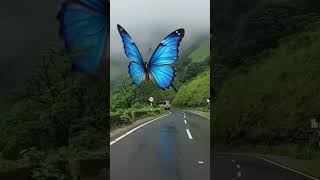 #love #love #travel #nature #automobile #monsoon #song #music #bollywood #sad